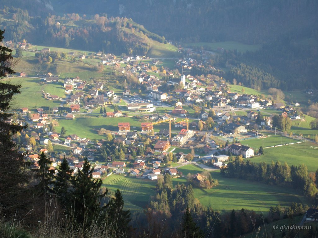 20081026_294